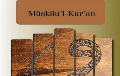 Müşkilü'l-Kur'an ve Müşkilü'l-Kur'an ile ilgili 4 Kitap Özeti